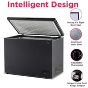 Frigidaire 10 Cu. ft. Garage Ready Chest Freezer in Black Granite Finish, Large Deep Freezer for Garage, Kitchen, Basement, Bulk Food Storage