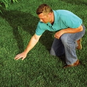 Rhino Outdoors EZ Straw 11 Lb. 200 Sq. Ft. Coverage Sun & Shade Organic Lawn Repair Mix — Residential Use, Standard Application