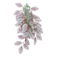 thumbnail image 4 of Komodo Hanging Zebrina Climbing Plant, Reptile Terrarium Habitat Decor, 16 inches, 4 of 4