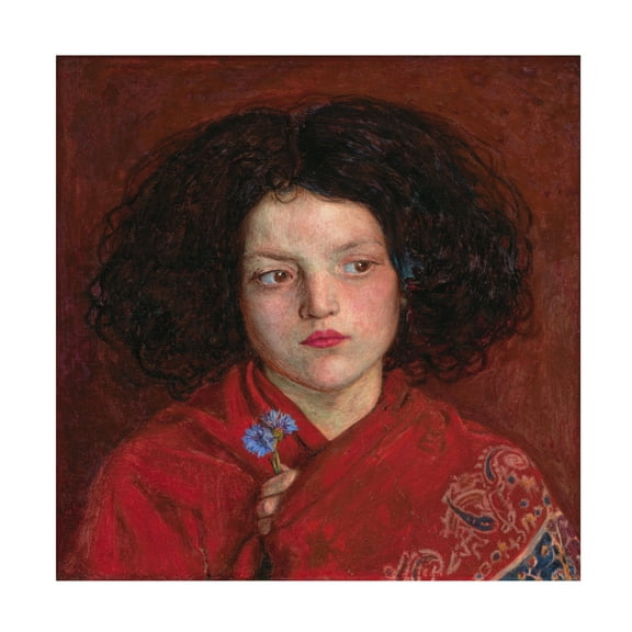 Brown 'The Irish Girl' Canvas Art