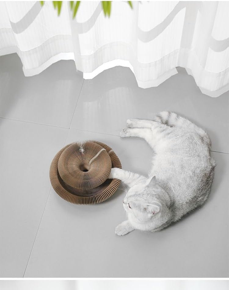 Kitty Kurlz, Kitty Kurlz Cat Toy, Cat Accordion Toy, Kitty Kurlz