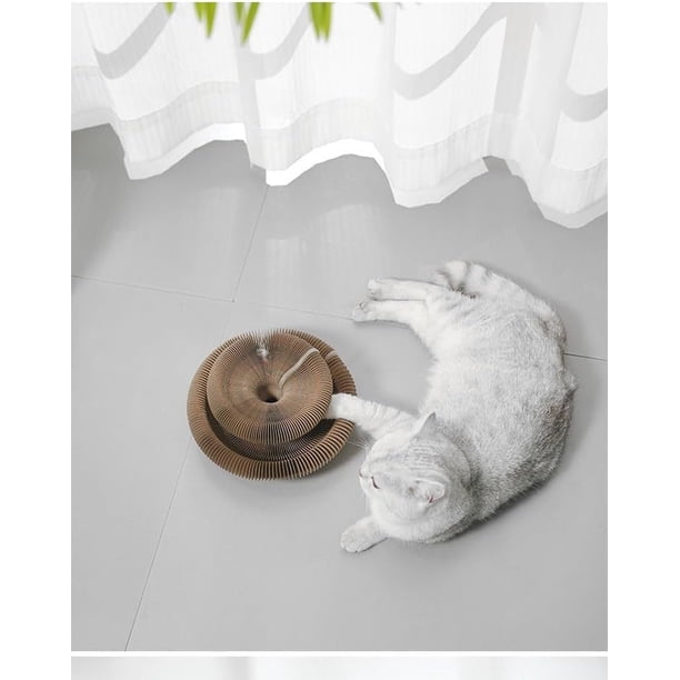 Kitty Kurlz, Kitty Kurlz Cat Toy, Cat Accordion Toy, Kitty Kurlz