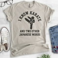 thumbnail image 2 of I Know Karate And Two Other Japanese Words Shirt, Unisex Women's Men's Shirt, Karate Tee, Jiu Jitsu MMA T, Light Silk Gray, X-Small, 2 of 6