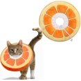 thumbnail image 1 of Colliers pour Chats Chiens Collier de Protection Confortable Ajustable Collier Postopératoire Récupération Protection Anti-Morsure (Orange, m), 1 of 5