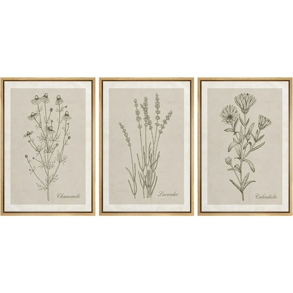 IDEA4WALL Framed Canvas Print Wall Art Set of 3 Black & Brown Wildflowers Bouquet Illustrations Nature Wilderness Vintage Art Boho Retro Wall Decorative Artwork for Rooms - Natural 24"x36"x3