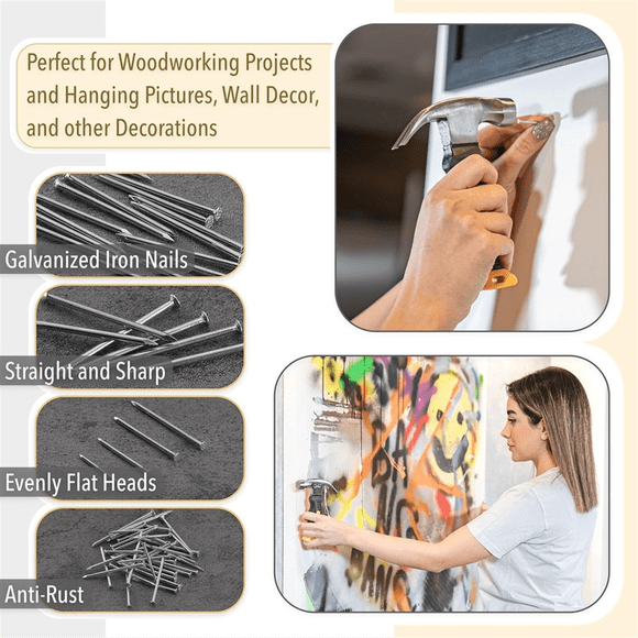 601 Pcs Nail Assortment Kit and Small Hammer, Nails for Hanging Pictures, Nails for Wall, Picture Hanging Nails