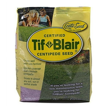 TifBlair Centipede Grass Seed (1 Lb.) Direct from The Farm