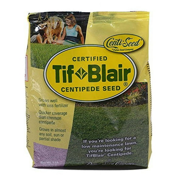 TifBlair Centipede Grass Seed (1 Lb.) Direct from The Farm