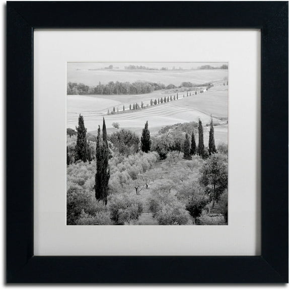 Trademark Fine Art "Tuscany X" Canvas Art by Alan Blaustein, White Matte, Black Frame