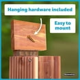 thumbnail image 4 of Pennington Cedar Squirrel Snacker Feeder Amish Made in The USA, 4 of 15