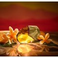 thumbnail image 3 of Perfume Orebella Blooming Fire Eau de Parfum 10 mL para mujer, 3 of 3