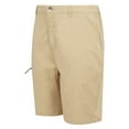 thumbnail image 3 of Regatta Mens Dalry Multi Pocket Shorts, 3 of 5