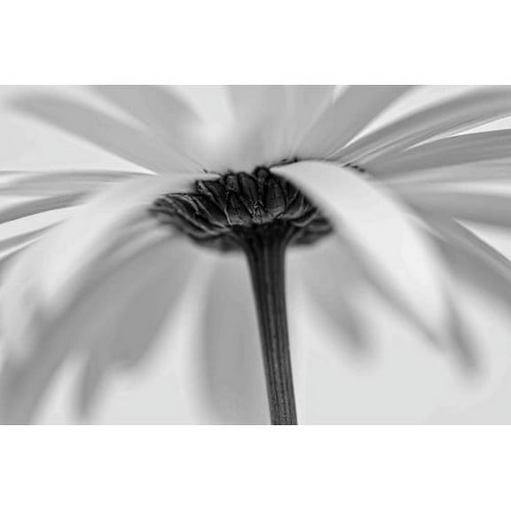 Marmont Hill "Tenderly" Painting Print on Canvas