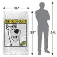 thumbnail image 5 of Scooby Doo Scooby Square Silky Touch Super Soft Throw Blanket 36" x 58", 5 of 6