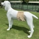 thumbnail image 3 of 3 piezas de ropa interior impermeable para mascotas, pañales para perros, pañales antiacoso para perros, 3 of 6