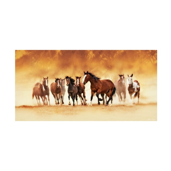 Trademark Fine Art David Drost  Running Wild Canvas Wall Art
