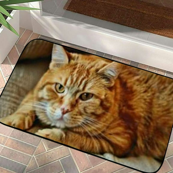 Qinduosi Orange Cat Portrait Doormat, Home Decor, Welcome Mat, Funny Doormat, Front Door Mat, Welcome Doormat,Indoor Doormat,Front Back Door Mat 19.68*39.37 in