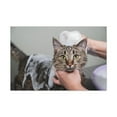 thumbnail image 2 of Cute Gray Cat Bath Canvas Wall Art for Home Decor Ready-to-Hang, 2 of 18
