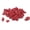 Red - 400 pieces, variant on 400 Pieces Fake Corn Soft Baits – Floating Carp Bait Silicone Simulation Fishing Lures with Sweet Corn Scent for Carp, Catfish & Freshwater Saltwater Fishing