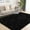 Black, variant on Cshidworld Area Rugs for Living Room Bedroom, 5x8 Ultra Soft Comfy Fluffy Thickened Memory-Foam Indoor Carpets, Modern Aesthetic Minimalist Carpet for Teen Adults Apartment Bedroom Home Decor, Black