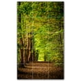 thumbnail image 1 of Picture-Tiles.com: Trees Ceramic Tile Wall Mural WAL501008-35XL. 36"W x 60"H using (15) 12" x 12" Ceramic Tiles-Satin Finish, 1 of 3