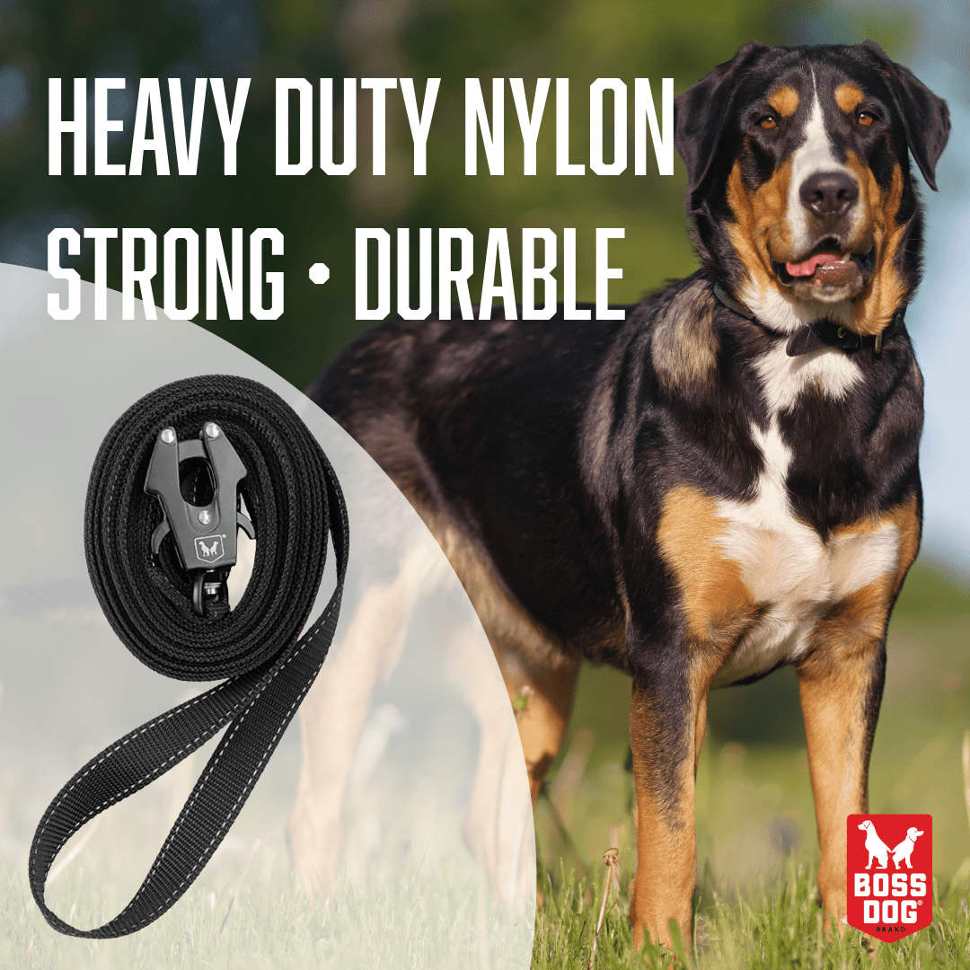 Boss Dog ProSeries™ Heavy Duty Dog Training Leash, Black, 20ft