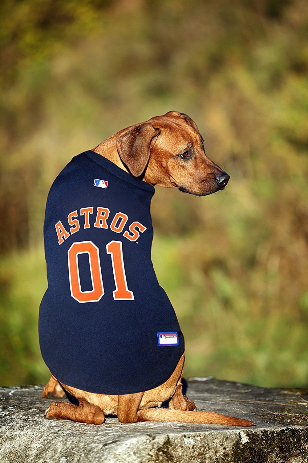 Pets First MLB Houston Astros Mesh Jersey for Dogs and Cats - Licensed Soft Poly-Cotton Sports Jersey - XX-Large