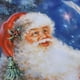 thumbnail image 5 of Cortina De Navidad, Cortina De Ducha, Con Ganchos Y Anillos, Compatible Con Lavado A Máquina Para Fiestas Navideñas Cergrey yk9, 5 of 8