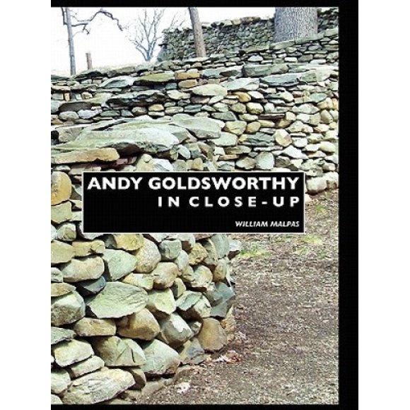 Andy Goldsworthy en Gros Plan (Sculpteurs)