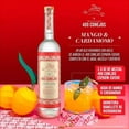 thumbnail image 3 of Pack de 2 Mezcal 400 Conejos Joven Cuishe 700 ml, 3 of 3