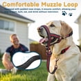 thumbnail image 3 of Bozal y correa sin corteza para perros pesados con cabeza halter XL, 3 of 7