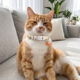 thumbnail image 2 of Fruit Print Cats Collar with Jingler Adjustable 20-28cm Safety Buckle for Indoor and Outdoor, 2 of 7