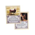 thumbnail image 2 of Paquete de regalo de 2 tarjetas mensuales de sobremesa para Catan Settlers of Catan, 2 of 6