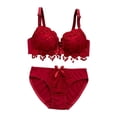 thumbnail image 1 of Conjunto para mujer, lencería acolchada, juego de ropa interior , rojo vino 80B Hugo Sujetador floral de encaje para mujer, 1 of 7