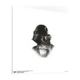 thumbnail image 3 of Gallery Pops Star Wars: Saga - Darth Vader Wall Art Bundle (3-Pack), Unframed Version, 12" x 12", 3 of 5