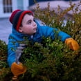 thumbnail image 6 of JustForKids 4-6 Years Brown Synthetic Leather Gardening Gloves with Durable Non-Slip, by G & F Products 3 Pairs, 6 of 11