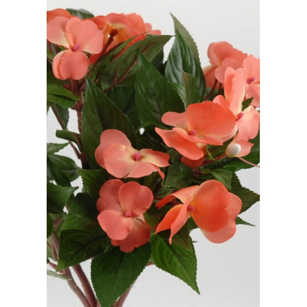Coral Impatiens Flowers