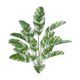 thumbnail image 5 of Plantas Falsas Exteriores BLESIY Hoja De Plátano Simulada 18 Cabezas Estilo H, 5 of 8