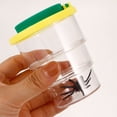thumbnail image 4 of KAKOWELY magnifying box 3Pcs Insect Magnifier Box Magnifying Insect Box Magnifier Container Catcher Insect Observing Jar2.87"X2.87"X1.57", 4 of 5