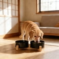 thumbnail image 2 of Leodye 1PCS Ceramic Raised Double Pet Bowl, Neck-Friendly Feeding Bowl, Non-Tip Food & Water Dish for Pets -9.25x 5.71x1.97in, 2 of 7