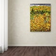 thumbnail image 2 of Trademark Fine Art "Towards Autumn" Canvas Art by Mandy Budan, 2 of 3