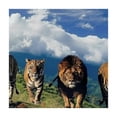 thumbnail image 4 of Acheng Wildlife Photography Square Tablecloth 100% Polyester Fiber 40*40, 4 of 8