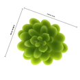thumbnail image 2 of HEANUJJ 3Ud Natural De Succulent Twig Decorativo Para Macetas Y Eventos, 2 of 8
