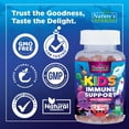 thumbnail image 4 of Kids Immune Support Supplement Gummies - Daily Childrens Vitamins C, Zinc & Echinacea - Gummy for Kids Immune Support, Ages 4 and Up, Natural Berry Flavor, Non-GMO, Gluten-Free & Vegan - 90 Gummies, 4 of 9