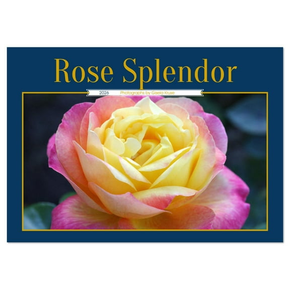 Rose Splendor (Monthly Wall Calendar 2026 16.5 x 23.4 (open)), CALVENDO 14 Month Calendar