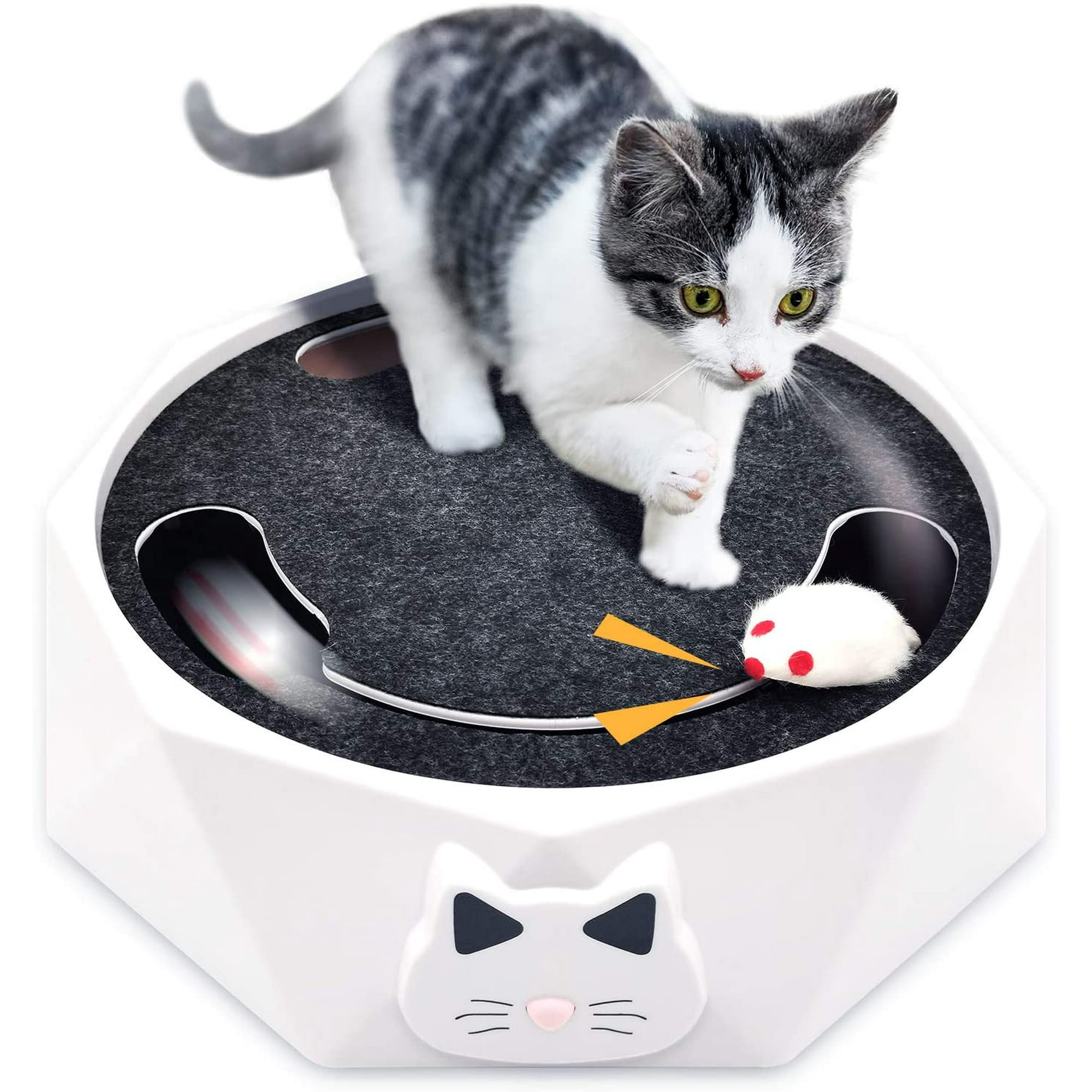 Why Do Cats Like Scratching Noises