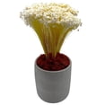 thumbnail image 4 of Pemberly Row Mousse de Renne Traditionnelle 200 g Préservée Rouge, 4 of 4