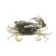 thumbnail image 3 of Cebos artificiales para cangrejos, accesorios de pesca, señuelos blandos de simulación de cangrejo, 8 cm, n.º 3, 3 of 5