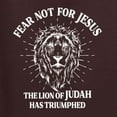 thumbnail image 5 of Wild Bobby Fear Not For Jesus The Lion Of Judah Has Triumphed Inspirational/Christian Unisex Graphic Hoodie Sweatshirt, Brown, X-Large, 5 of 5