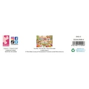 Ceaco Town Park Disney 300 Piece Interlocking Jigsaw Puzzle
